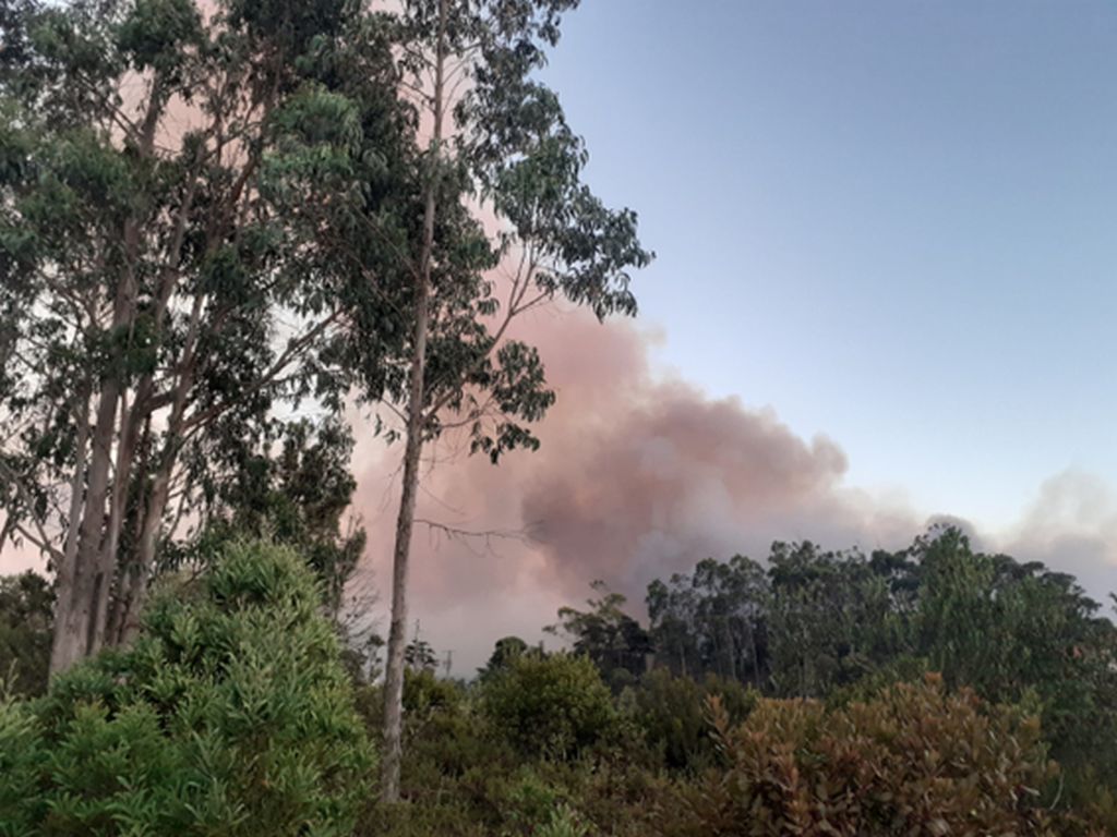 Polícia Judiciária deteve autor de fogos florestais na Ramada