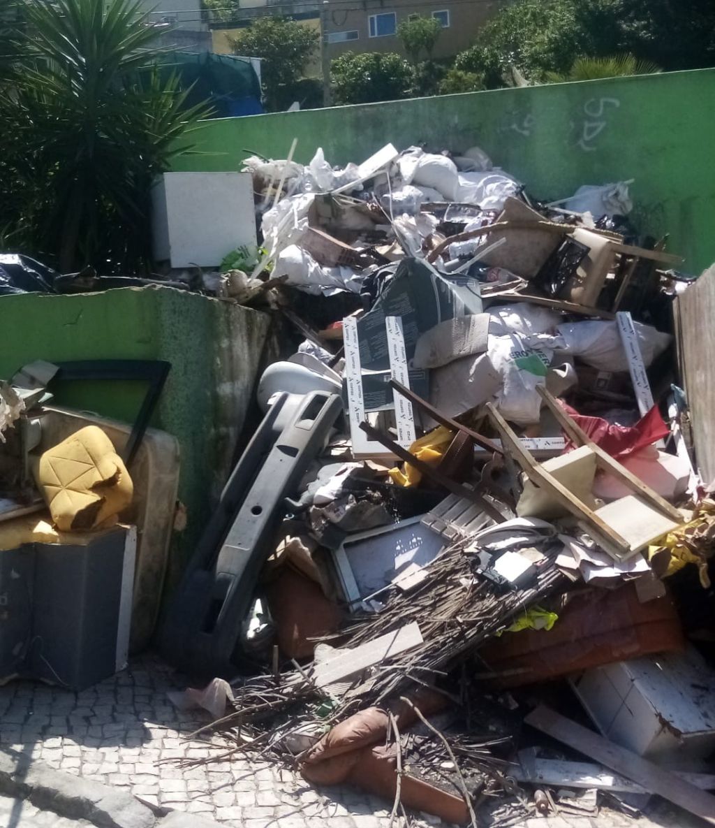 Operação de recolha e limpeza de monos na Serra da Luz
