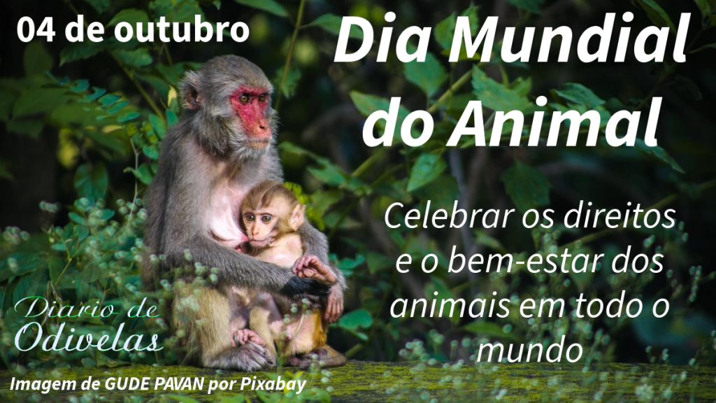 04 de outubro – Dia Mundial do Animal