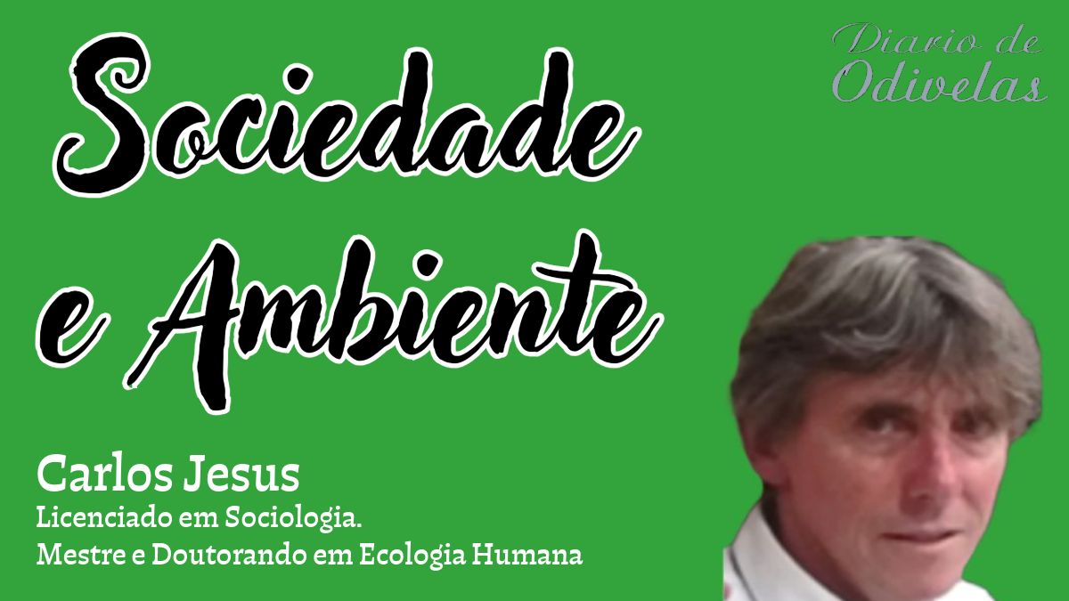 Sociedade & Ambiente | Preservar territórios e Proteger comunidades, é vital