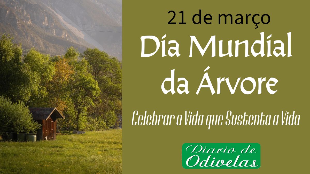 Dia Mundial da Árvore — Celebrar a Vida que Sustenta a Vida