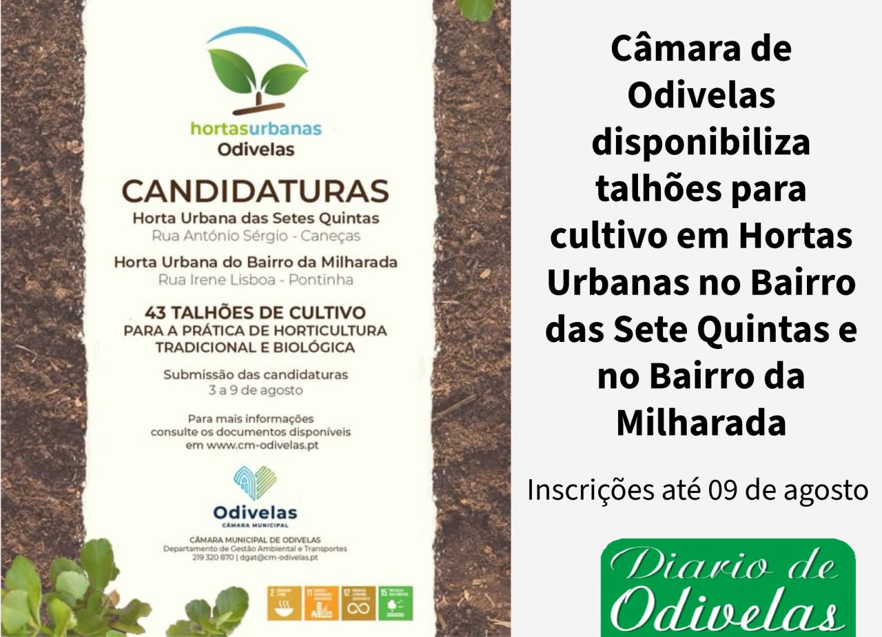 CMO disponibiliza 43 talhões de cultivo